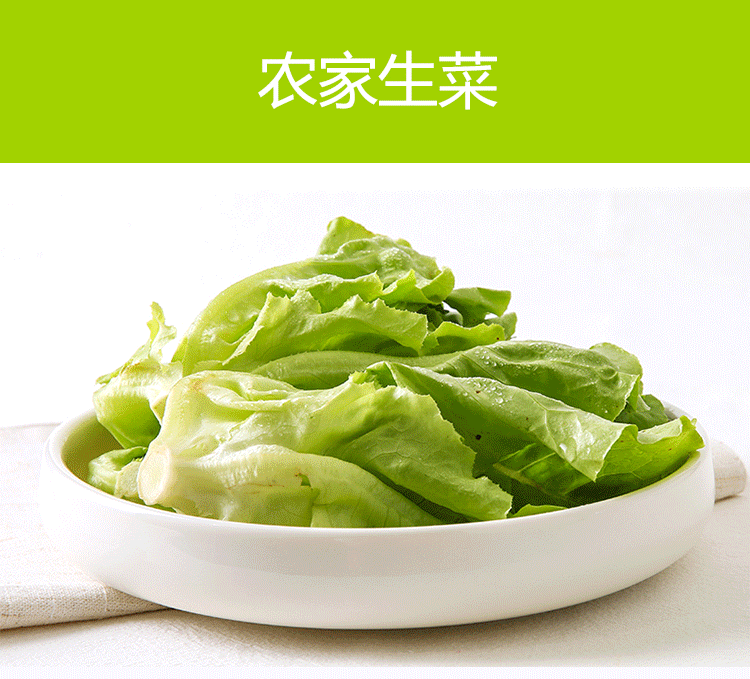 生菜