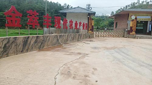 首页关于我们